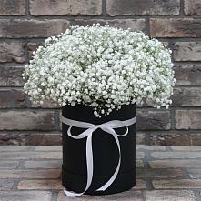 Цветочная композиция из Гипсофила в шляпной коробке в Свободном