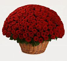 Премиум букет из: Розы #REPLACE_PRED# Свободном