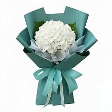 Букет цветов из:  Гортензия #REPLACE_PRED# Свободном